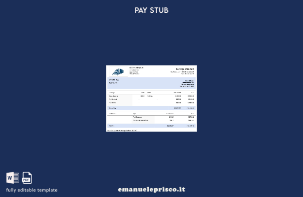 modello di busta paga stile verificato USA South Carolina Trucking LLC